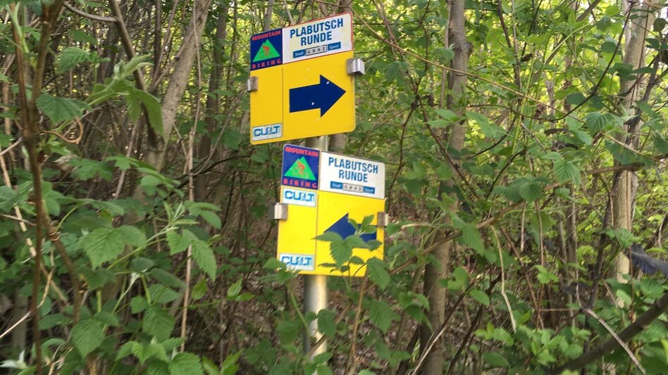 Mountain Biking Knight Rider Trail Graz Plabutsch - Touren-Impression #2.4 | © Region Graz