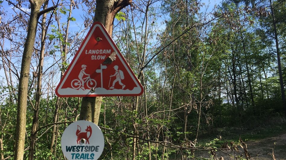 Mountain Biking Knight Rider Trail Graz Plabutsch - Touren-Impression #2.5 | © Region Graz