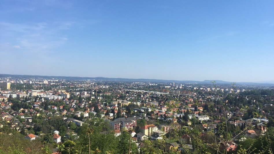 Mountain Biking Knight Rider Trail Graz Plabutsch - Touren-Impression #2.6 | © Region Graz