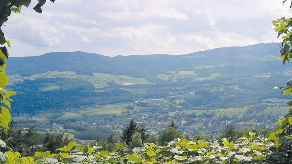 Wanderung Orgelwandern: Etappe Pöllauberg - Masenberg - Touren-Impression #2.6 | © Oststeiermark Tourismus