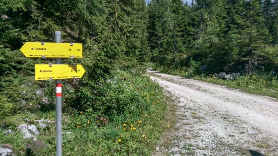 Mountain Hike Kräuterin Hochstadl Überschreitung - Touren-Impression #2.3 | © TV Gesäuse