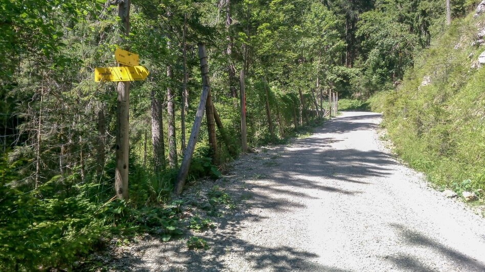 Mountain Hike Kräuterin Hochstadl Überschreitung - Touren-Impression #2.4 | © TV Gesäuse