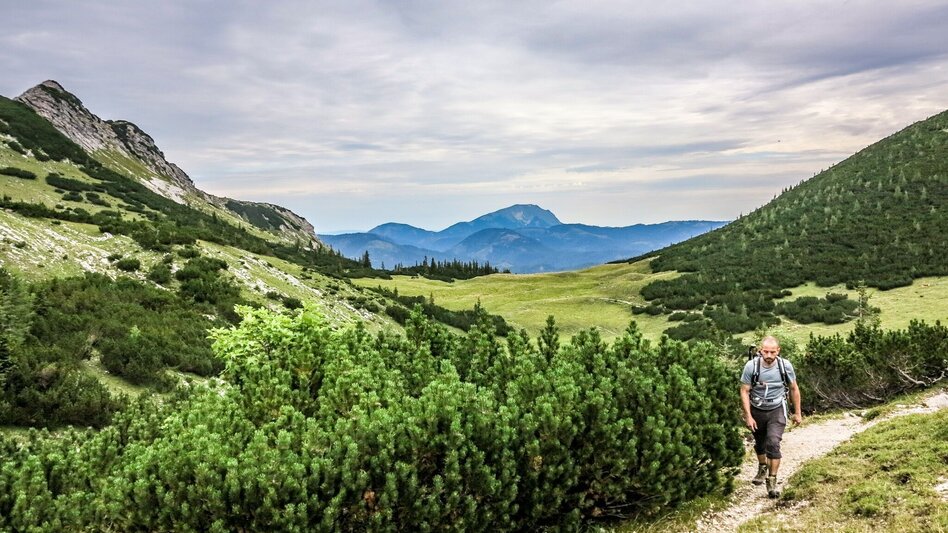 Mountain Hike Kräuterin Hochstadl Überschreitung - Touren-Impression #2.6 | © TV Gesäuse