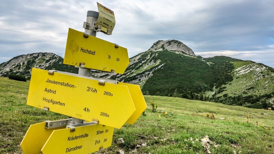 Mountain Hike Kräuterin Hochstadl Überschreitung - Touren-Impression #2.8 | © TV Gesäuse