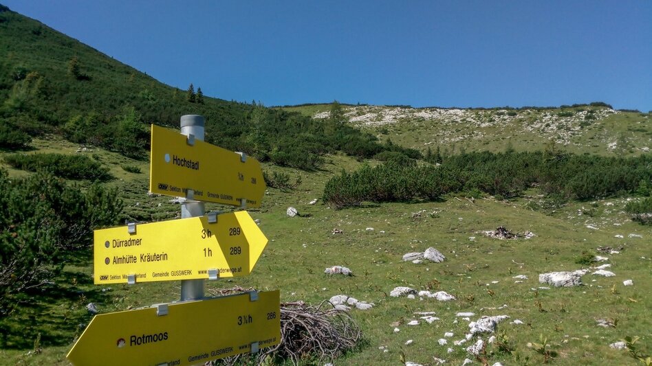 Mountain Hike Kräuterin Hochstadl Überschreitung - Touren-Impression #2.11 | © TV Gesäuse