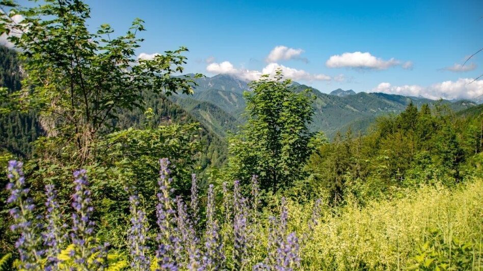 Mountain Biking Alpentour-Buchsteinrunde - Touren-Impression #2.7 | © TV Gesäuse