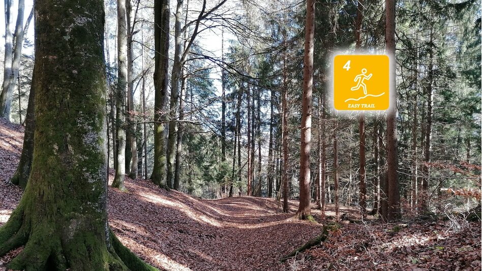Trail Running Cross-round Fürstensteig - Touren-Impression #2.1 | © Erlebnisregion Schladming-Dachstein