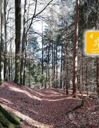Schon früh im Jahr kann am Fürstensteig gelaufen werden | © Erlebnisregion Schladming-Dachstein