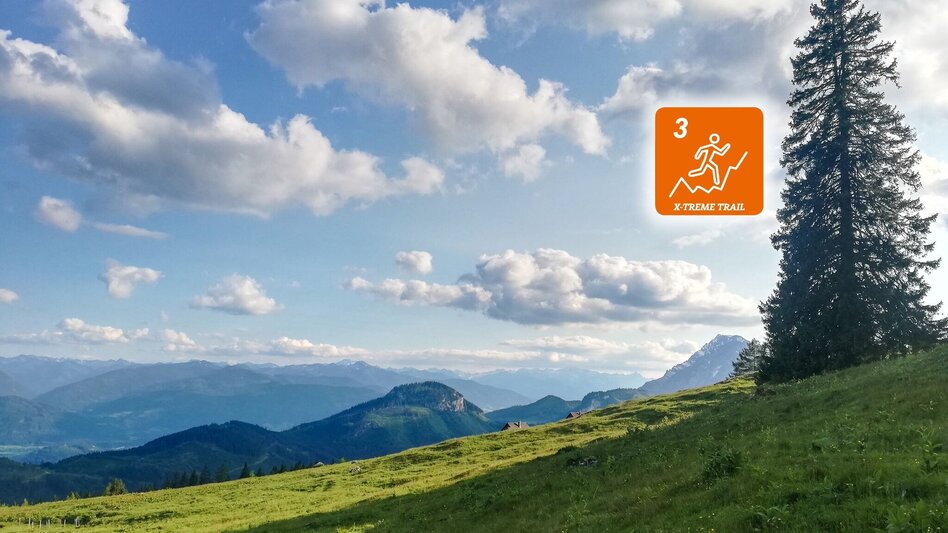 Trail Running Around the Tausing - Touren-Impression #2.6 | © Erlebnisregion Schladming-Dachstein