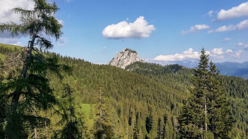 Trail Running Around the Tausing - Touren-Impression #2.4 | © Tourismusverband Grimming-Donnersbachtal