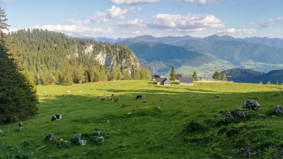 Trail Running Around the Tausing - Touren-Impression #2.5 | © Erlebnisregion Schladming-Dachstein