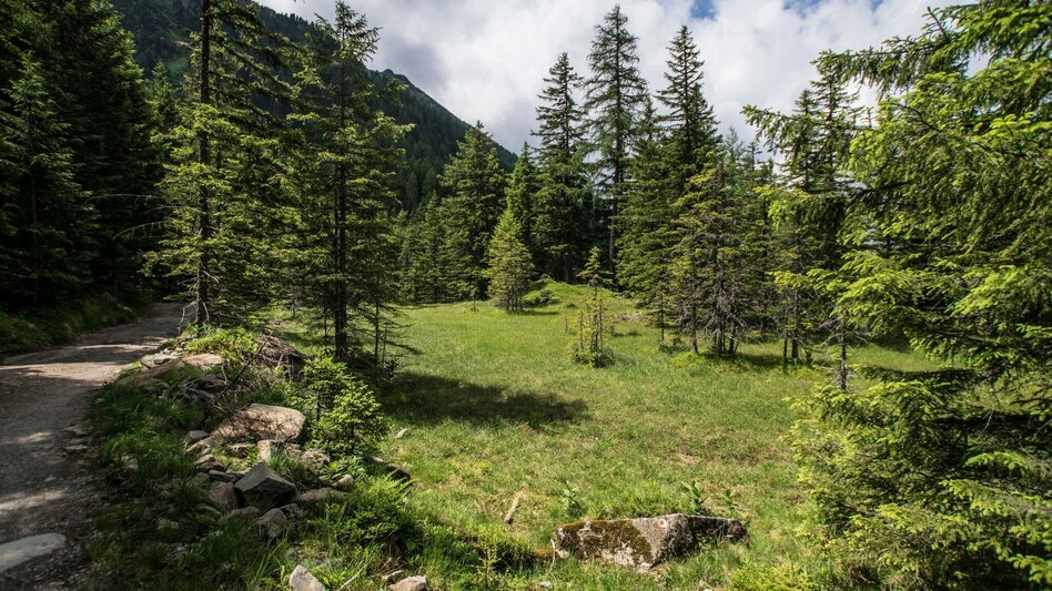 Hiking route Keinprechthütte chalet – inviting alpine peaks all around - Touren-Impression #2.3 | © Gerhard Pilz - www.gpic.at
