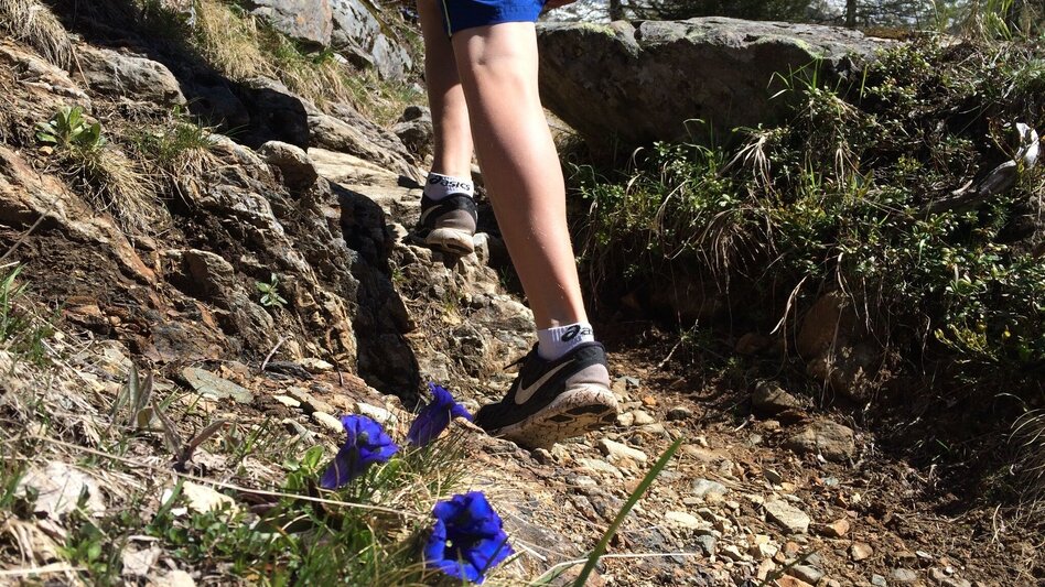 Hiking route Keinprechthütte chalet – inviting alpine peaks all around - Touren-Impression #2.4 | © Tourismusverband Schladming - Katrin Hutegger