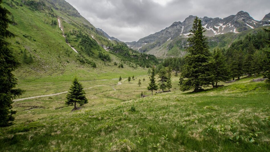 Hiking route Keinprechthütte chalet – inviting alpine peaks all around - Touren-Impression #2.9 | © Gerhard Pilz - www.gpic.at