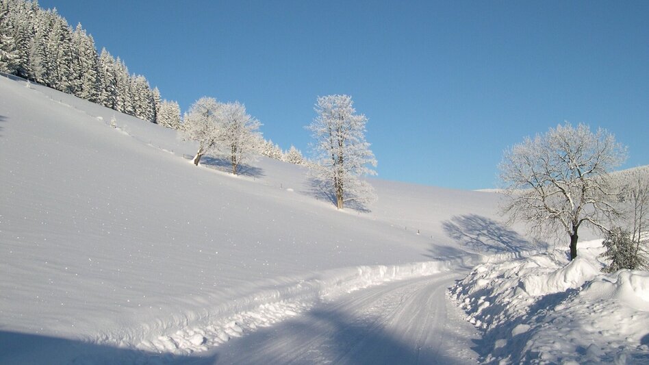 Winterwandern Winterwanderweg vom Feistritztal nach Falkenstein, Fischbach - Touren-Impression #2.1 | © Oststeiermark Tourismus
