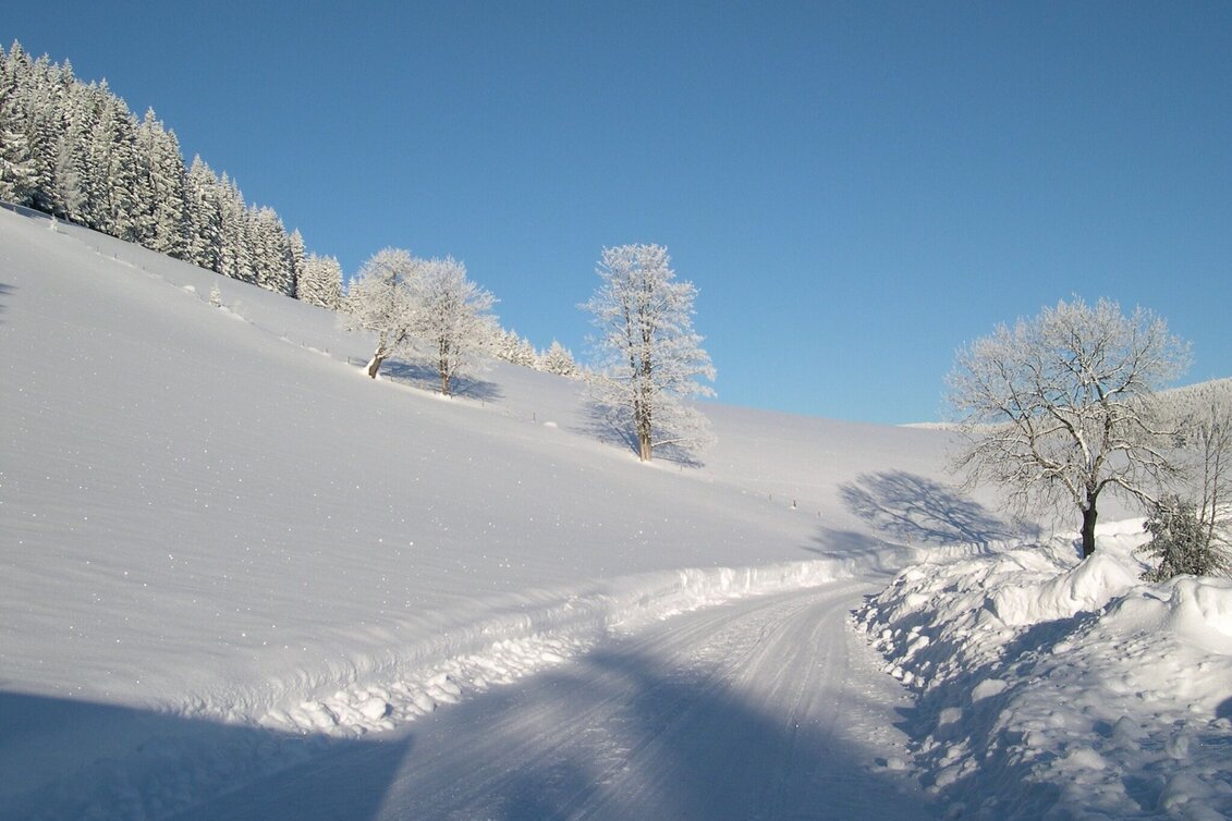 Winterwandern Winterwanderweg vom Feistritztal nach Falkenstein, Fischbach - Touren-Impression #1 | © Oststeiermark Tourismus