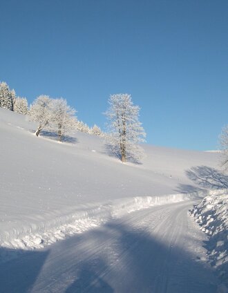 Winterwandern in Falkenstein | Marianne Dornhofer Tourismus Fischbach | © Oststeiermark Tourismus