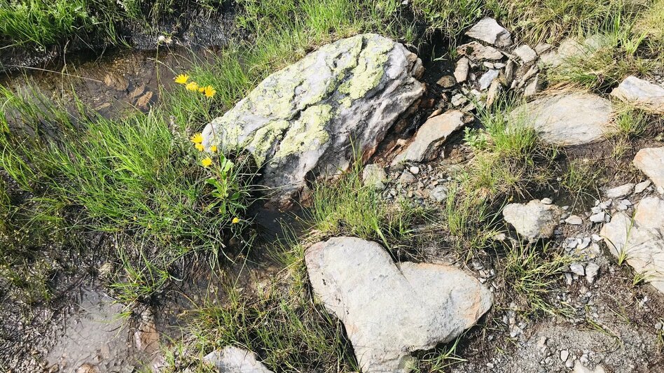 Hiking route Ridge hike via Kothütten lake to Karlspitz - Touren-Impression #2.10 | © Erlebnisregion Schladming-Dachstein