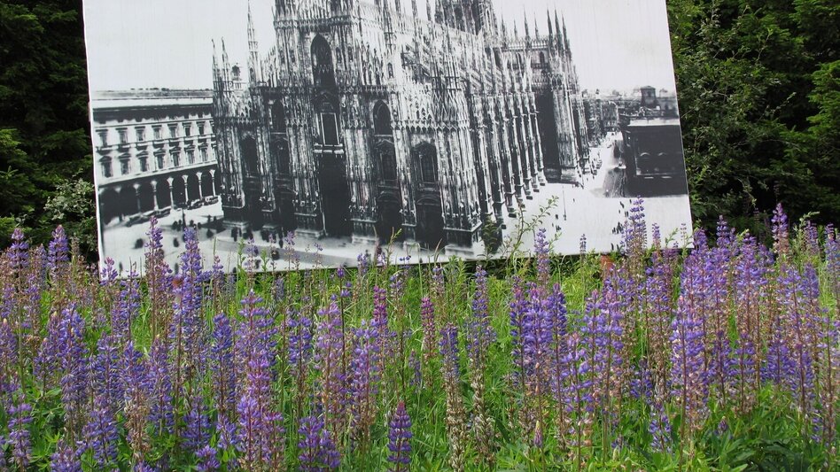 Wanderung Seerundweg auf der Hebalm - Touren-Impression #2.3 | © Werbeagentur SMAC