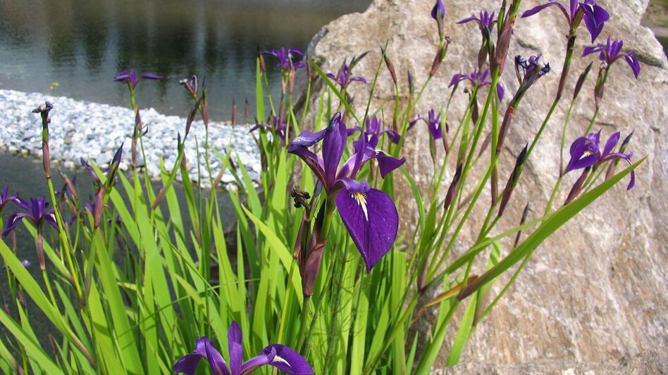Wanderung Seerundweg auf der Hebalm - Touren-Impression #2.7 | © Smac GmbH
