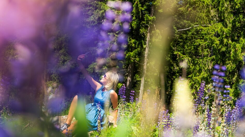 Wanderung Seerundweg auf der Hebalm - Touren-Impression #2.10 | © Erlebnisregion Graz