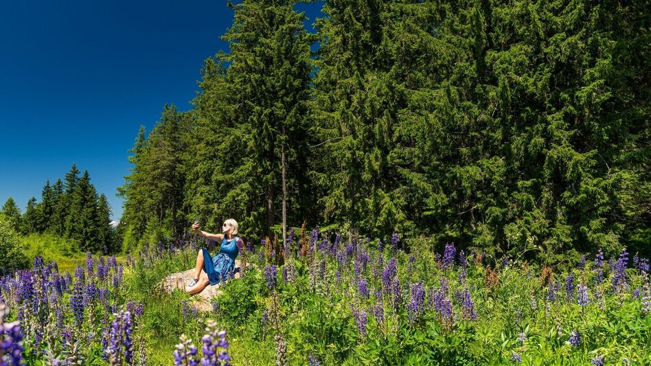 Wanderung Seerundweg auf der Hebalm - Touren-Impression #2.11 | © Erlebnisregion Graz