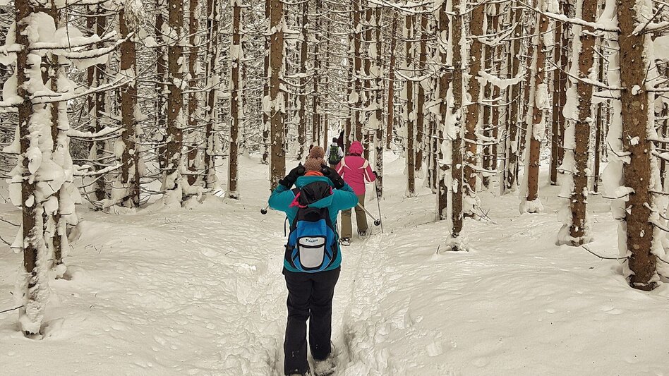 Snowshoe walking Snowshoe tour in Rohrmoos - Touren-Impression #2.1 | © Gerhard Pilz