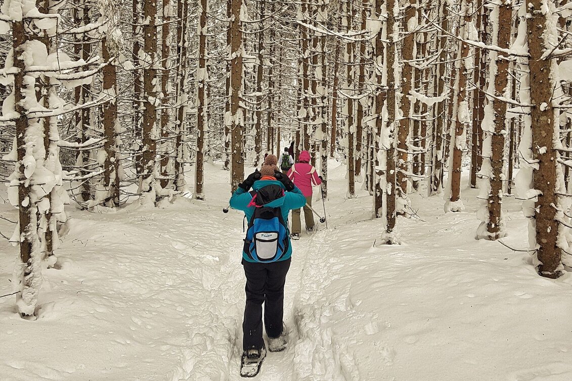 Snowshoe walking Snowshoe tour in Rohrmoos - Touren-Impression #1 | © Gerhard Pilz