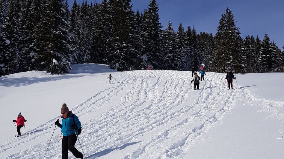 Snowshoe walking Snowshoe tour in Rohrmoos - Touren-Impression #2.3 | © Gerhard Pilz