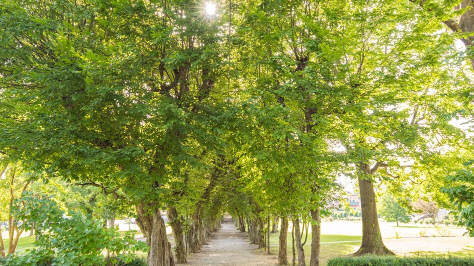 Wanderung Orgelwandern: Etappe Pöllau - Stubenberg - Touren-Impression #2.5 | © Oststeiermark Tourismus