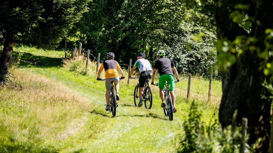 Bike Riding Wildwiesen circuit from Wenigzell, Wenigzell - Touren-Impression #2.1 | © Tourismusverband Joglland - Waldheimat