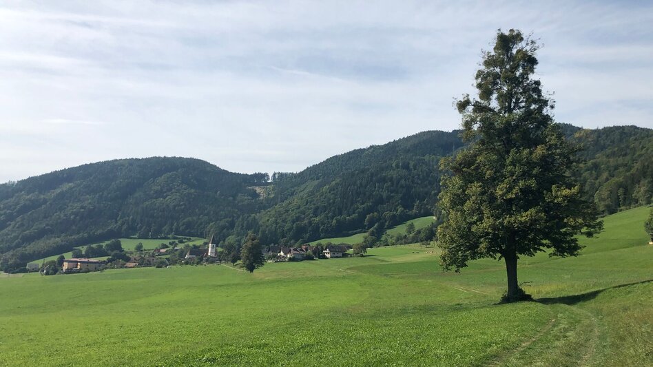 Jogging Laufrunde Antonienhöhe - Touren-Impression #2.6 | © Region Graz