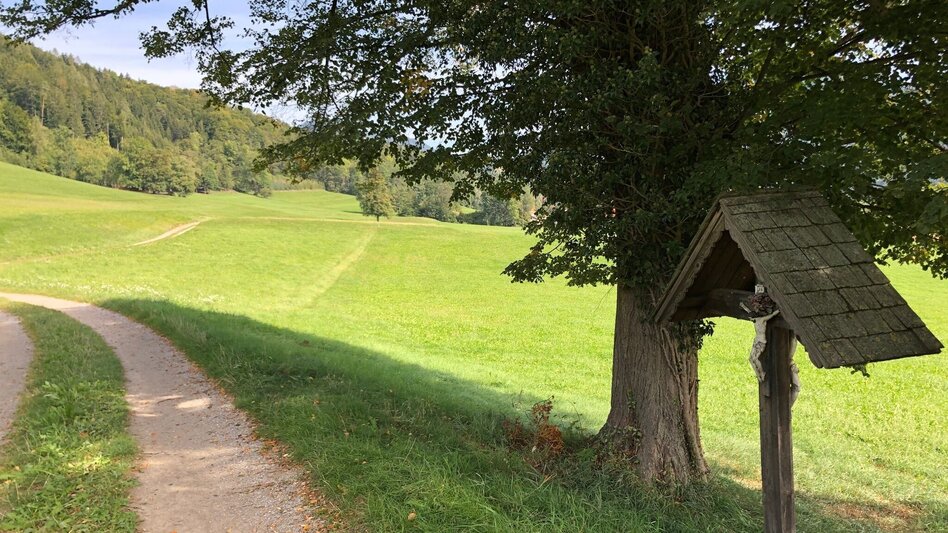 Jogging Laufrunde Antonienhöhe - Touren-Impression #2.7 | © Region Graz