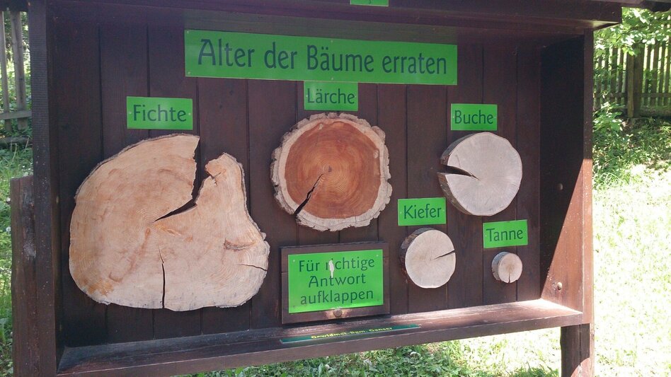 Hiking route Hike via FIS bypass to the Bürgeralpe - Touren-Impression #2.8 | © Brigitte Digruber