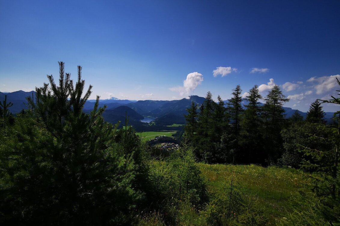 Hiking route Hike via FIS bypass to the Bürgeralpe - Touren-Impression #1 | © TV Hochsteiermark