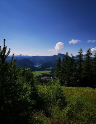 Ausblick von der Mariazeller Bürgeralpe | Brigitte Digruber | © TV Hochsteiermark