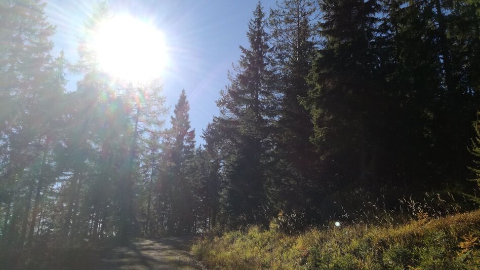 Hiking route Hike via FIS bypass to the Bürgeralpe - Touren-Impression #2.7 | © TV Hochsteiermark