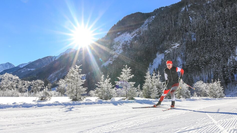 Ski nordic skating Tetter Moor XC Skating Trail - Touren-Impression #2.4 | © Tourismusverband Schladming - Martin Huber