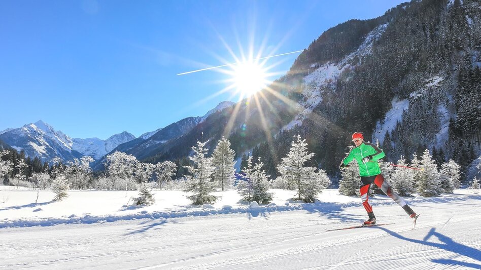 Ski nordic skating Tetter Moor XC Skating Trail - Touren-Impression #2.5 | © Tourismusverband Schladming - Martin Huber