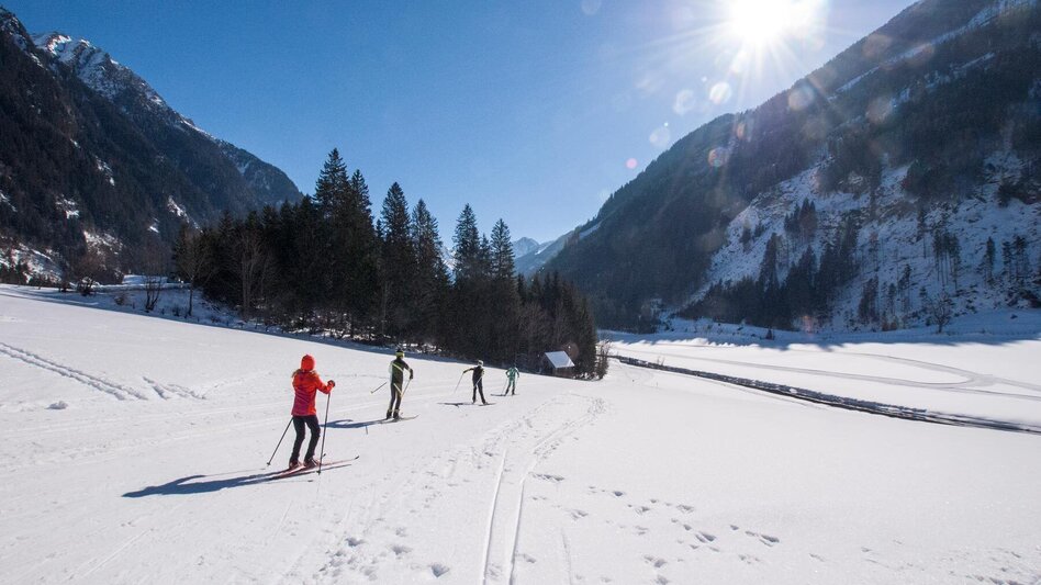 Ski nordic skating Tetter Moor XC Skating Trail - Touren-Impression #2.7 | © Gerhard Pilz