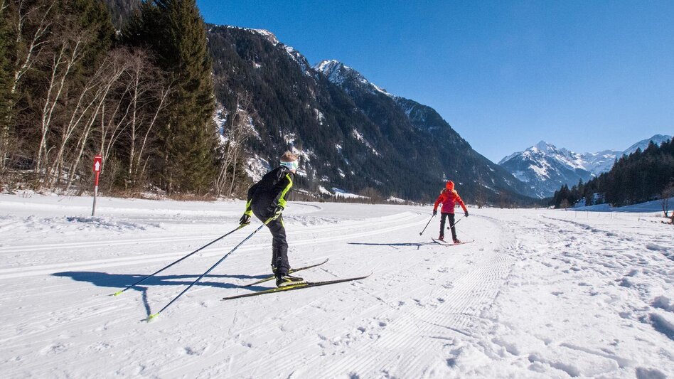 Ski nordic skating Tetter Moor XC Skating Trail - Touren-Impression #2.8 | © Gerhard Pilz