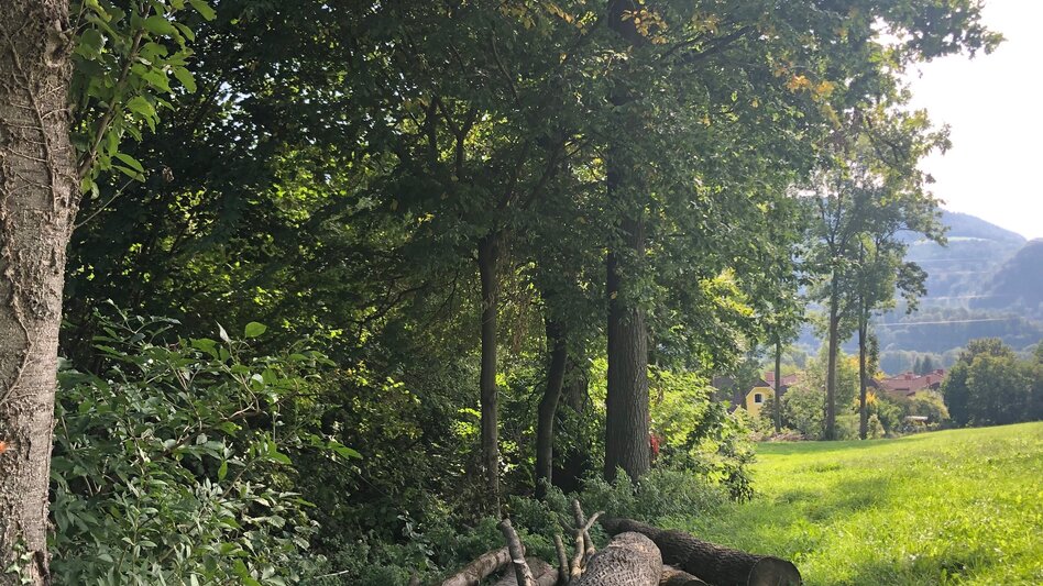 Nordic Walking Adriacher Höhenweg - Touren-Impression #2.1 | © Region Graz