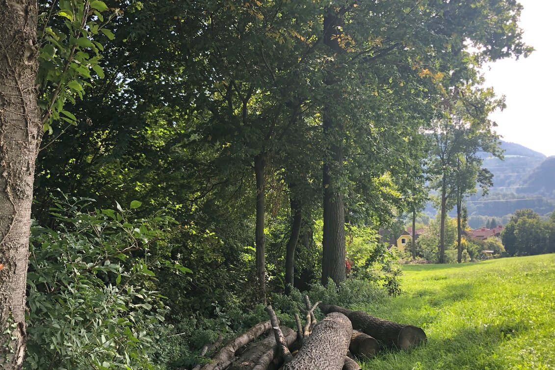 Nordic Walking Adriacher Höhenweg - Touren-Impression #1 | © Region Graz