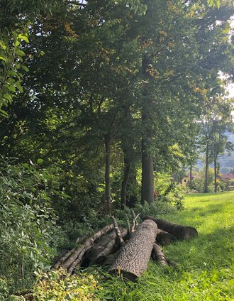 adriacher höhenweg_img_42297886 | KW | © Region Graz