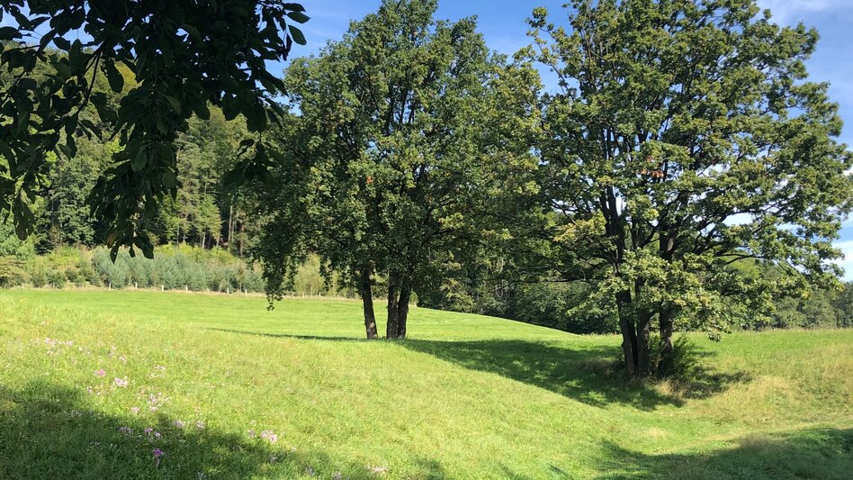 Nordic Walking Adriacher Höhenweg - Touren-Impression #2.3 | © Region Graz