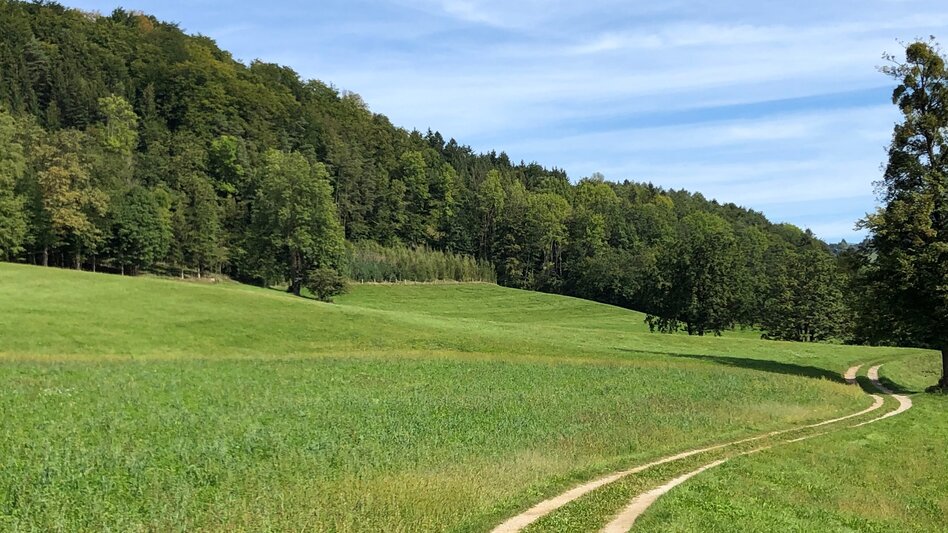 Nordic Walking Adriacher Höhenweg - Touren-Impression #2.5 | © Region Graz