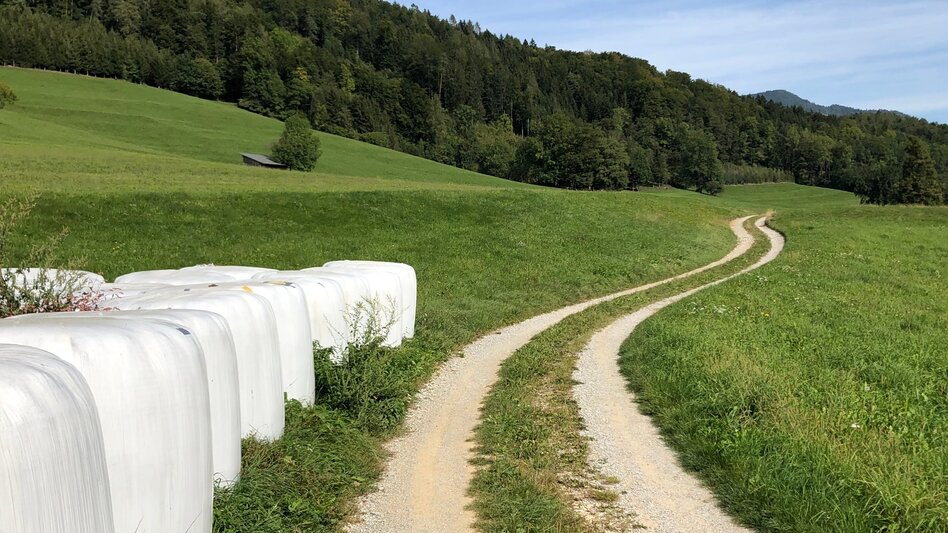 Nordic Walking Adriacher Höhenweg - Touren-Impression #2.6 | © Region Graz