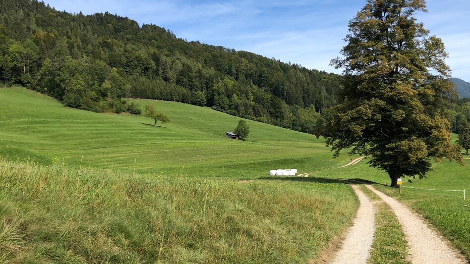 Nordic Walking Adriacher Höhenweg - Touren-Impression #2.7 | © Region Graz