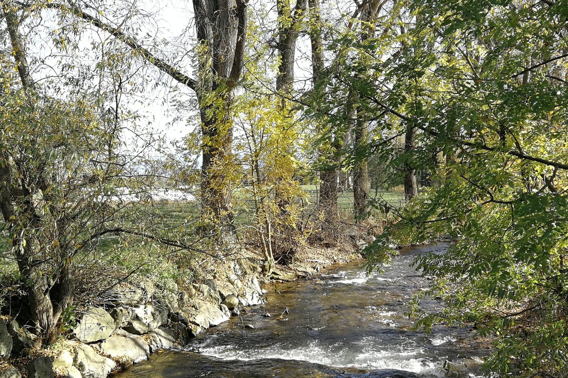 Panorama Trail discover Weißkirchen via your tongue - Touren-Impression #1 | © Erlebnisregion Murtal