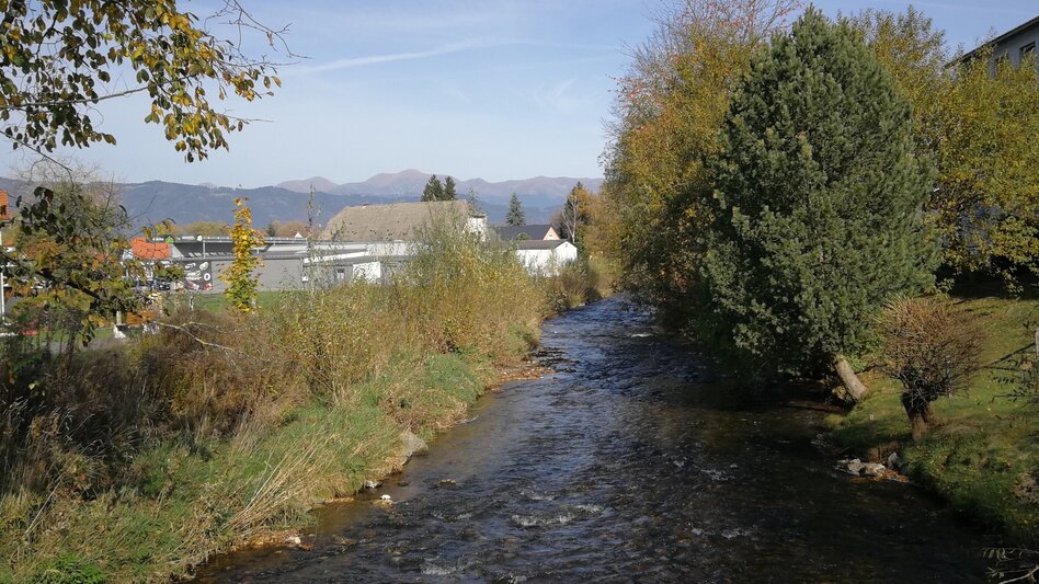Panorama Trail discover Weißkirchen via your tongue - Touren-Impression #2.9 | © Erlebnisregion Murtal